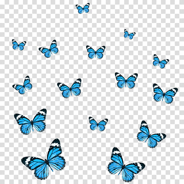 Monarch butterfly, Country Music, United States, Blog, Contemplation, Bluebutterflies transparent background PNG clipart