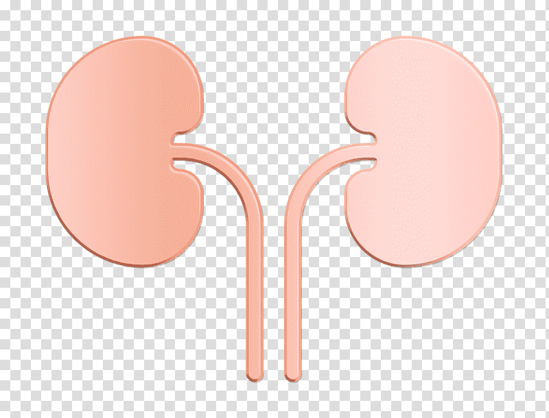 Kidneys icon medical icon Anatomy icon, Meter transparent background PNG clipart