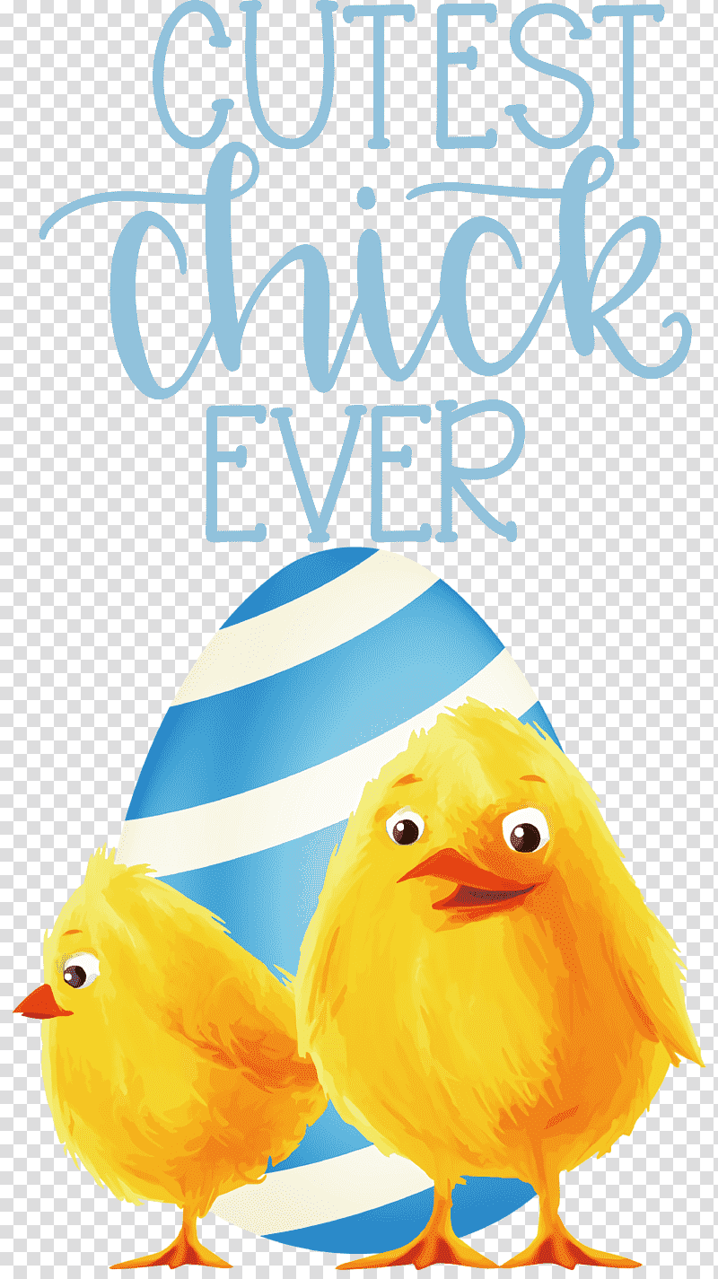 Happy Easter Cutest Chick Ever, Birds, Beak, Yellow, Meter, Line, Geometry transparent background PNG clipart