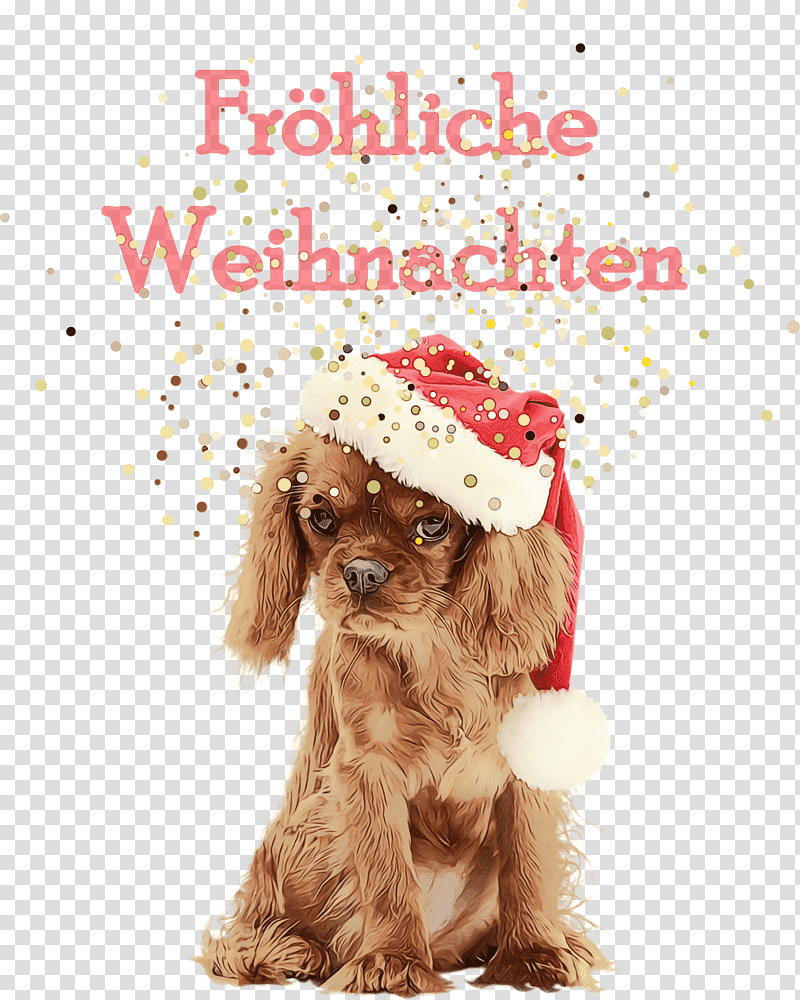 cockapoo cavoodle snout puppy spaniel, Frohliche Weihnachten, Merry Christmas, Watercolor, Paint, Wet Ink, Companion Dog transparent background PNG clipart