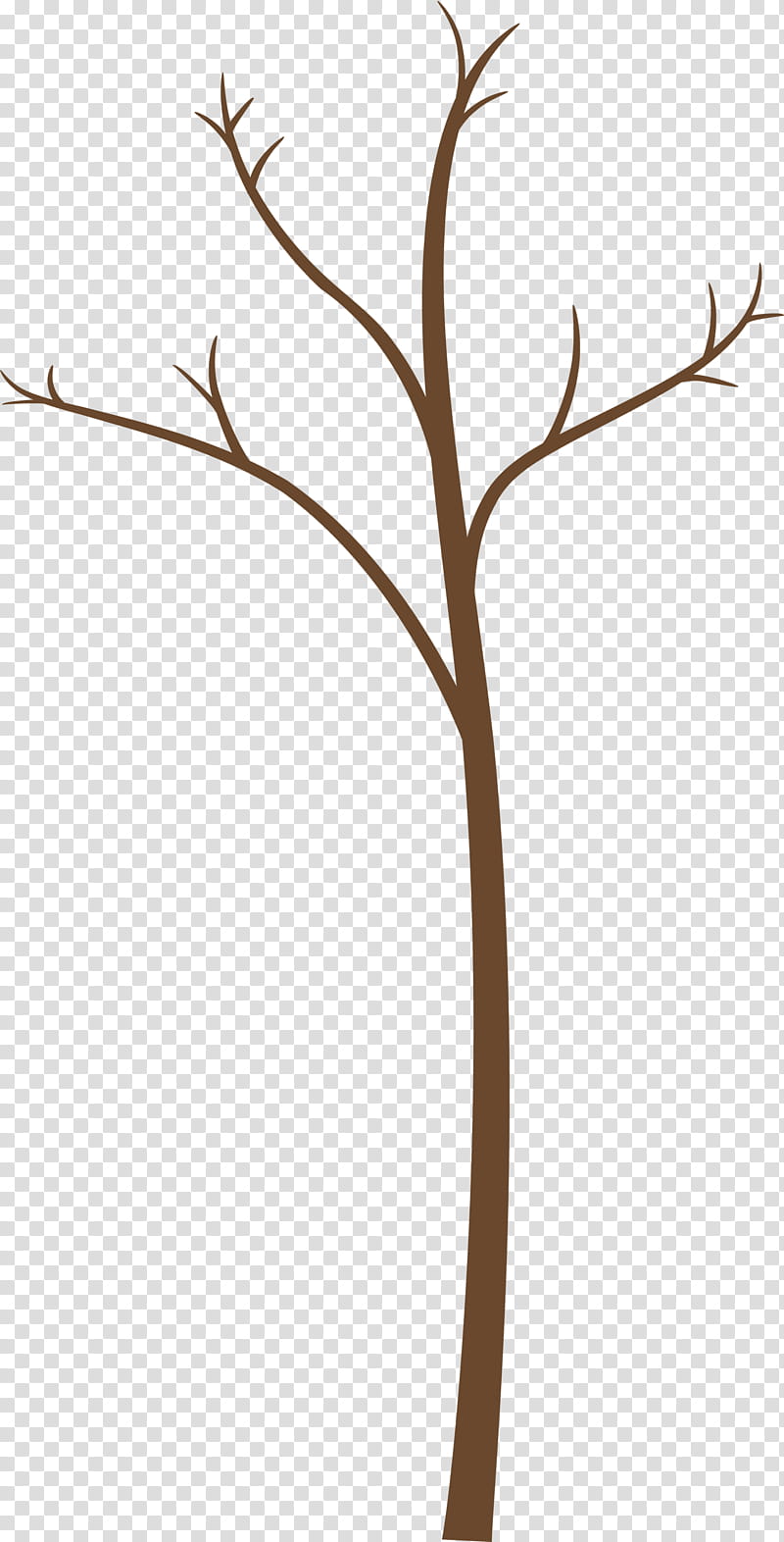 branch twig leaf plant plant stem, Abstract Tree, Cartoon Tree, Tree , Flower transparent background PNG clipart