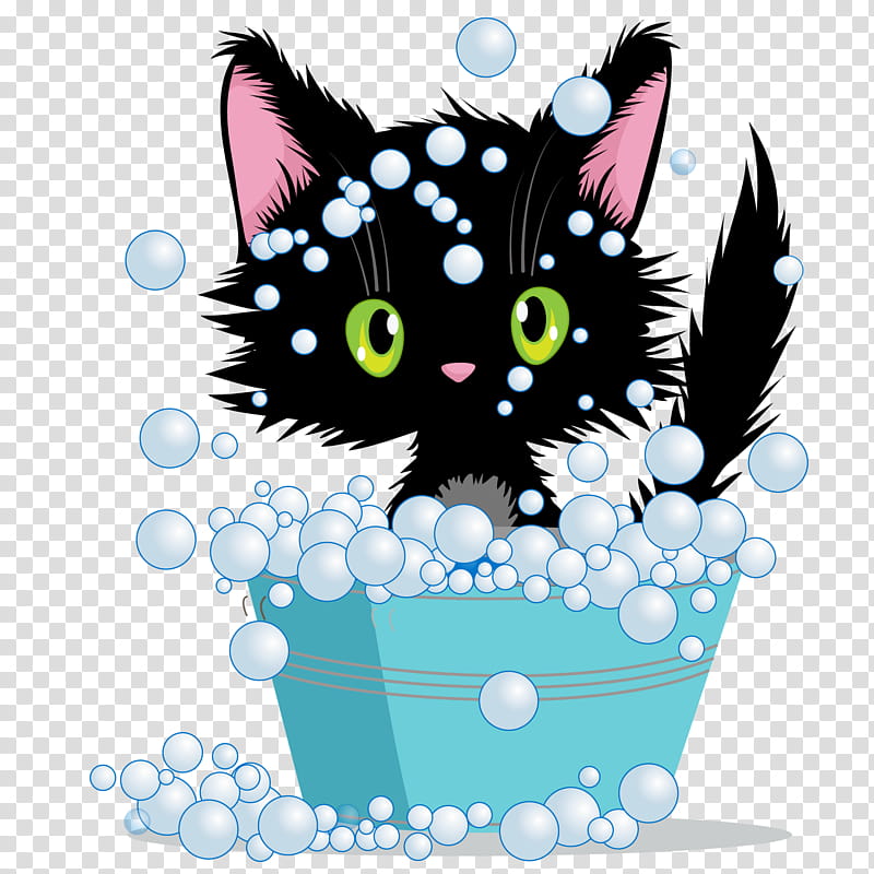 cat small to medium-sized cats whiskers kitten ragamuffin, Small To Mediumsized Cats, Paw, Tail, Maine Coon transparent background PNG clipart