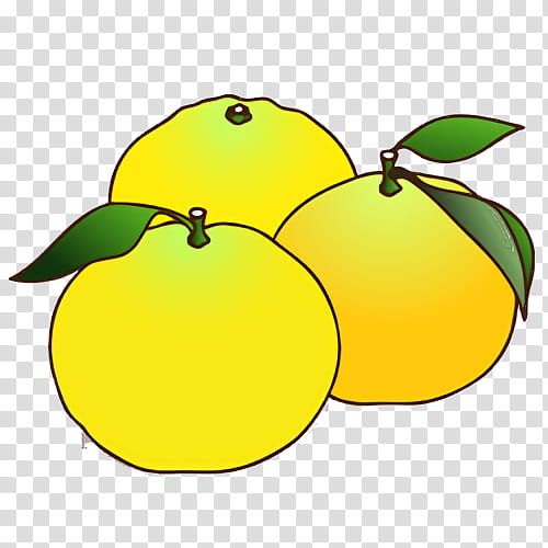 lemon citron yellow leaf yuzu, Apple, Meter, Biology, Science, Plant Structure, Plants transparent background PNG clipart