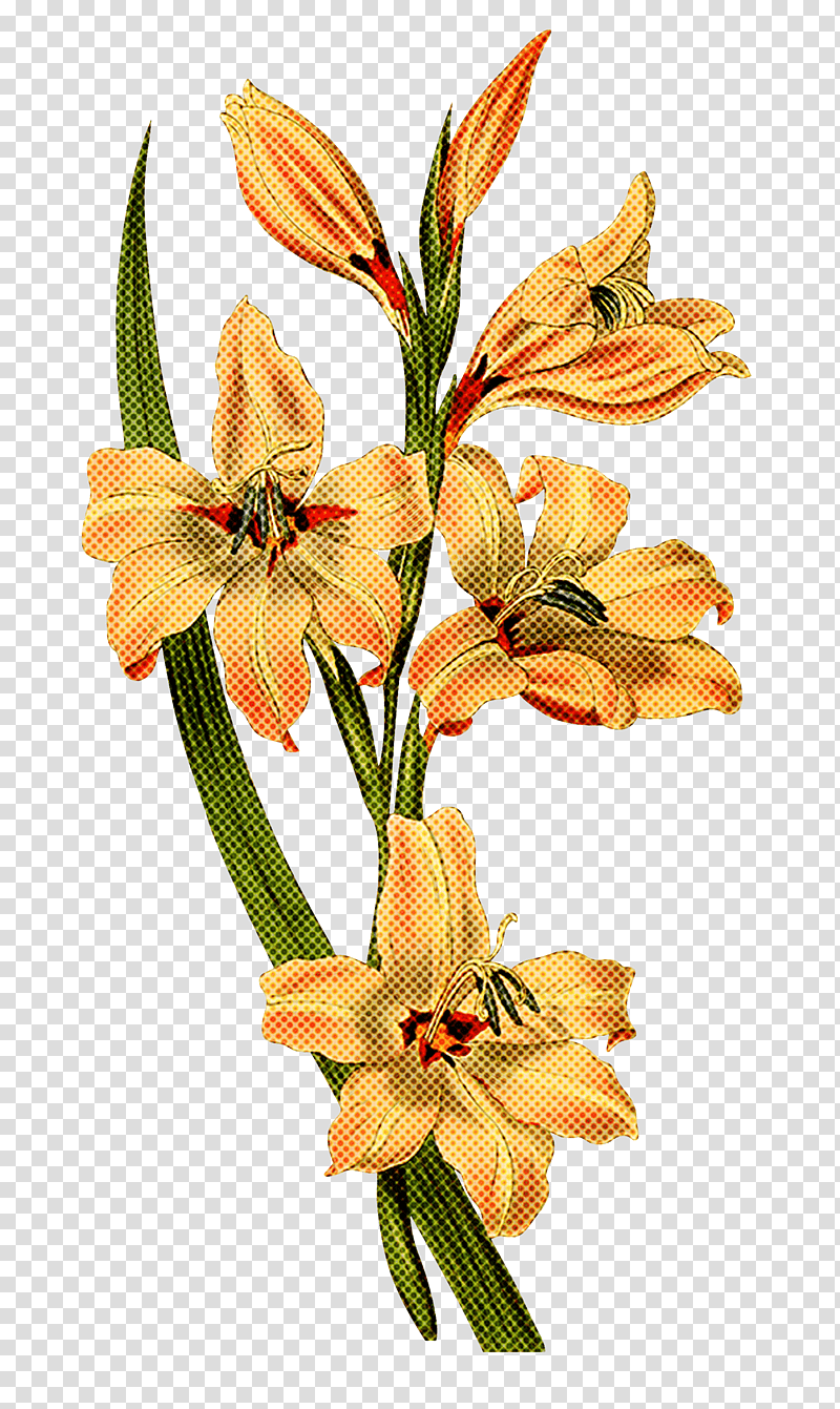 Floral design, Lily Of The Incas, Cut Flowers, Easter Lily, Madonna Lily, Flower Bouquet, Pink Flowers transparent background PNG clipart