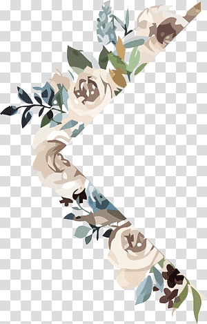 Floral design, Flower, Petal transparent background PNG clipart thumbnail