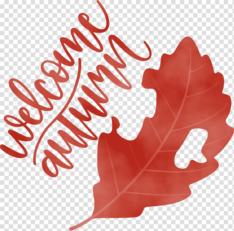 Maple leaf, Welcome Autumn, Watercolor, Paint, Wet Ink, Tree, Northern Red Oak transparent background PNG clipart
