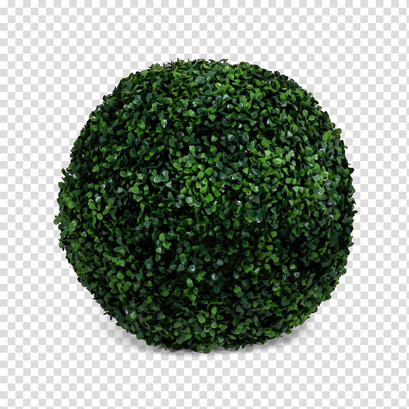 green grass plant shrub ball, Watercolor, Paint, Wet Ink, Sphere, Moss transparent background PNG clipart
