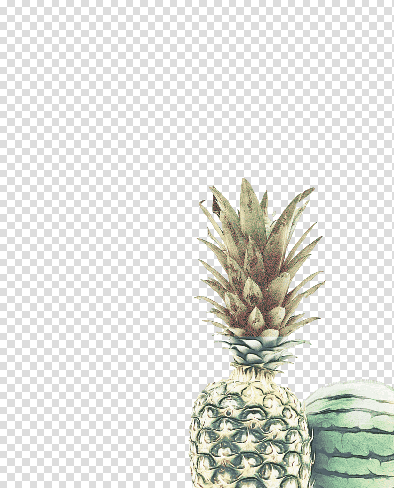 Pineapple, Fruit, Tropical Fruit, Watermelon, Healthy Diet, Exotic Fruit, Health Food transparent background PNG clipart