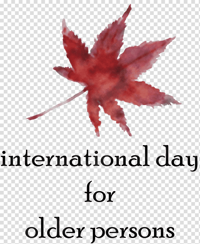 International Day for Older Persons, Leaf, Teenage Pregnancy, Maple Leaf M, Tree, Meter, Line transparent background PNG clipart