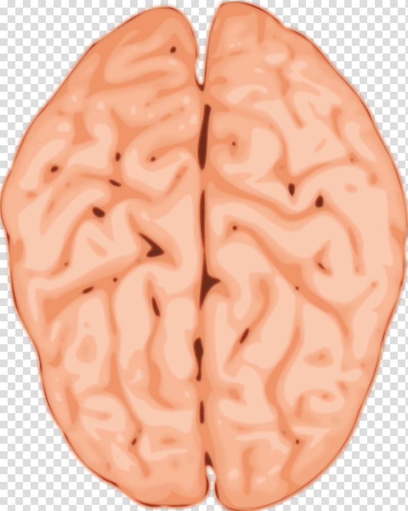 m-brain m-brain group flesh m human, Watercolor, Paint, Wet Ink, Mbrain, Mbrain Group, Human Brain transparent background PNG clipart