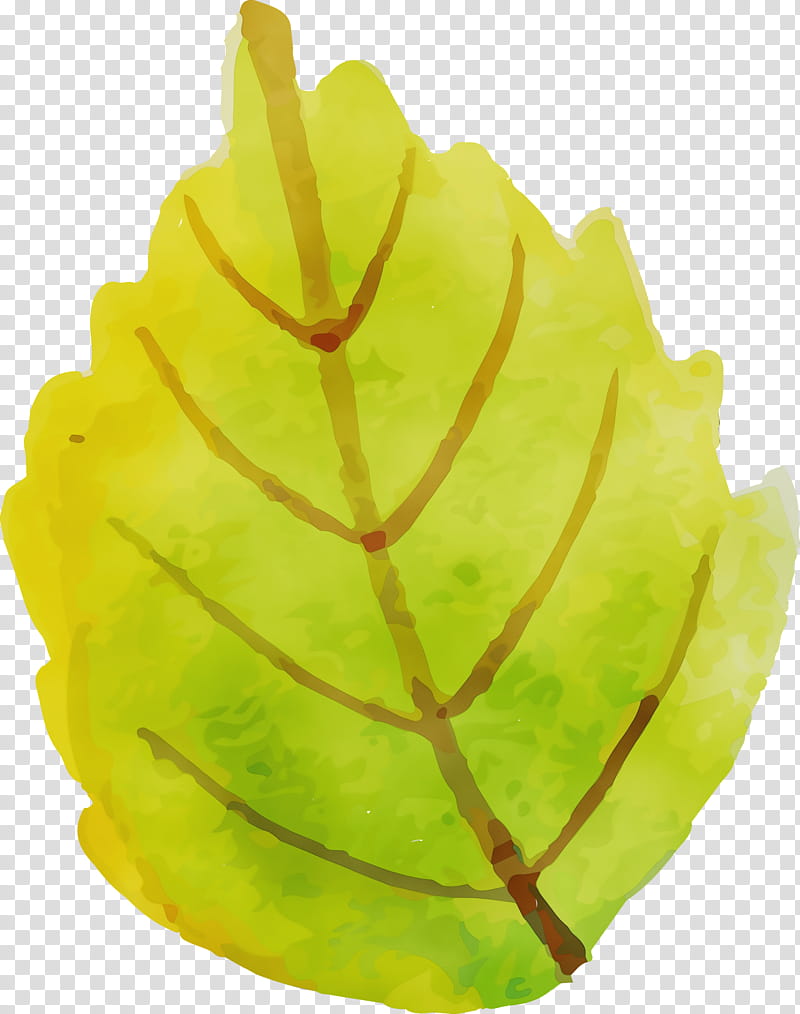 carambola leaf yellow plant structure plants, Autumn Leaf, COLORFUL LEAF, Watercolor, Paint, Wet Ink, Science, Biology transparent background PNG clipart