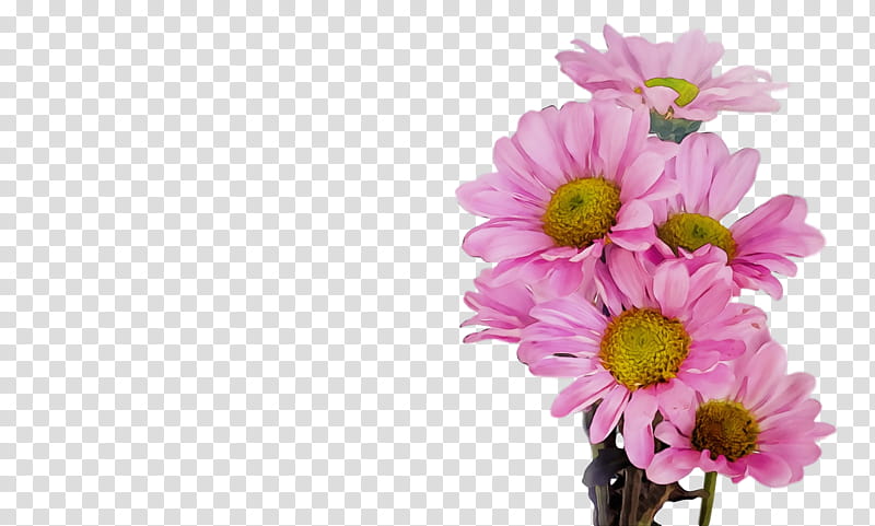 Floral design, Spring
, Watercolor, Paint, Wet Ink, Flower, Barberton Daisy, Gerbera transparent background PNG clipart