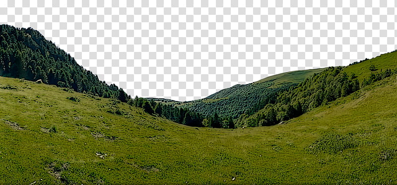 mountain range mount scenery vegetation ecoregion shrubland, Mountain Pass, Sprucefir Forests, Valley, Nature Reserve, Temperate Coniferous Forest, Massif, National Park transparent background PNG clipart