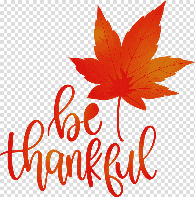 Thanksgiving Be Thankful Give Thanks, Leaf, Maple Leaf, Branch, Autumn Leaf Color, Sugar Maple, Red Maple transparent background PNG clipart