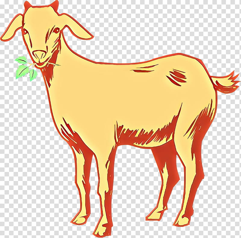 Eid Al Adha Islamic, Eid Mubarak, Muslim, Sheep, Kinder Goat, Barbari Goat, Tshirt, Goat Farming transparent background PNG clipart
