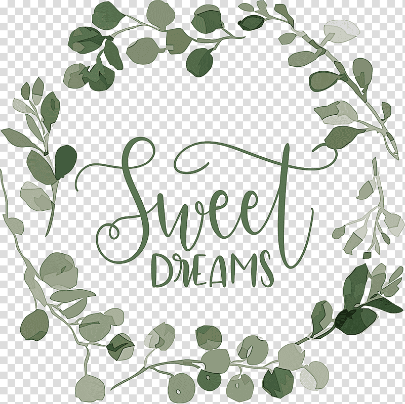 Sweet Dreams Dream, Leaf, Plant Stem, Flower Frames, Succulent Plant, Eucalyptus, Plants transparent background PNG clipart