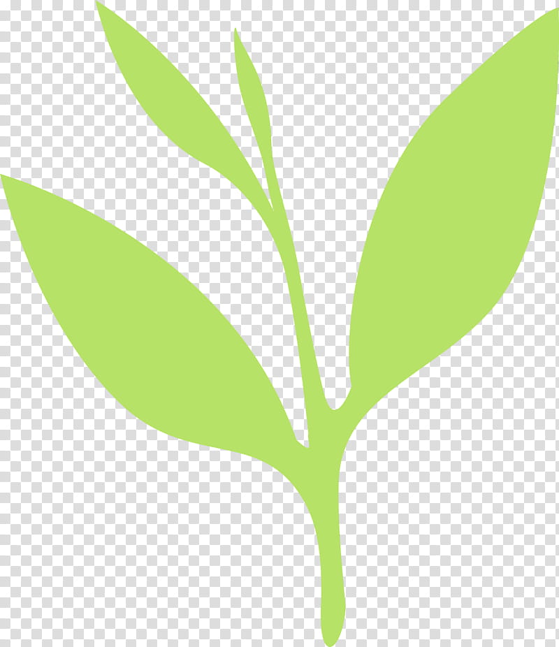 leaf green plant flower plant stem, Tea Leaves, Spring
, Watercolor, Paint, Wet Ink, Tree, Logo transparent background PNG clipart
