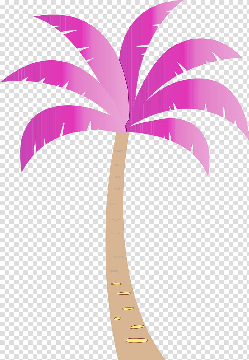 Palm trees, Beach, Cartoon Tree, Watercolor, Paint, Wet Ink, Plant Stem, Leaf transparent background PNG clipart