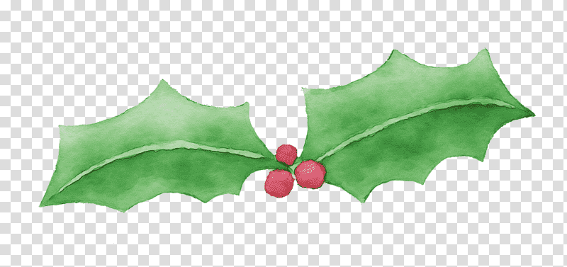 Holly, Watercolor, Paint, Wet Ink, Leaf, Aquifoliales, Plant Structure transparent background PNG clipart