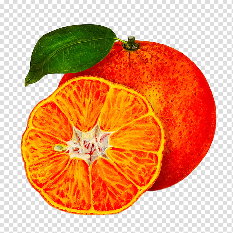 Orange, Blood Orange, Mandarin Orange, Grapefruit, Tangelo, Bitter Orange, Tangerine, Clementine transparent background PNG clipart