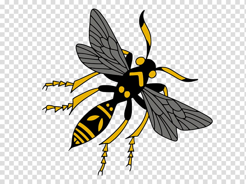 honey bee butterflies wasp bees yellow, Black White M, Lepidoptera transparent background PNG clipart