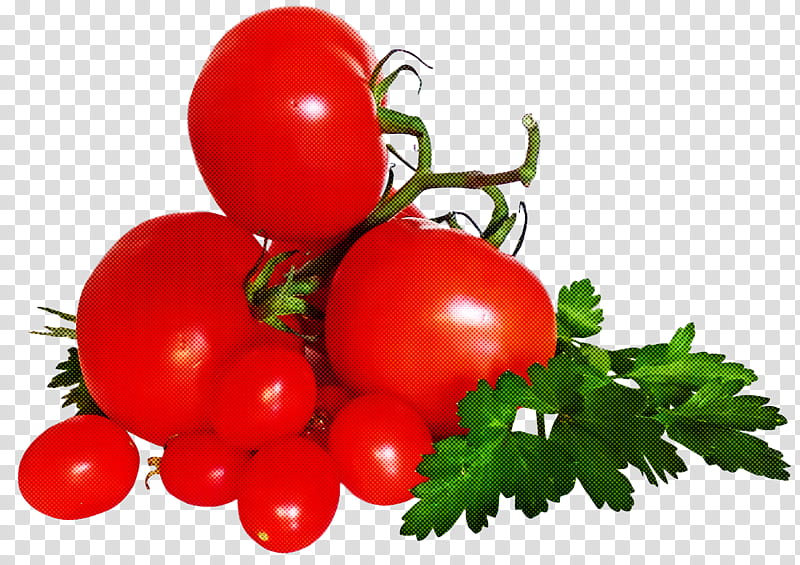 Tomato, Bush Tomato, Tomato Juice, Pizza, Natural Foods, Vegetable ...