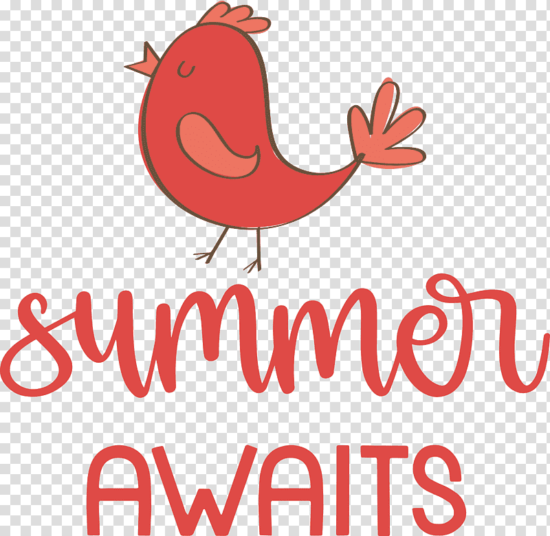 Summer Awaits Summer Summer vacation, Summer
, Birds, Logo, Meter, Beak, Cartoon transparent background PNG clipart