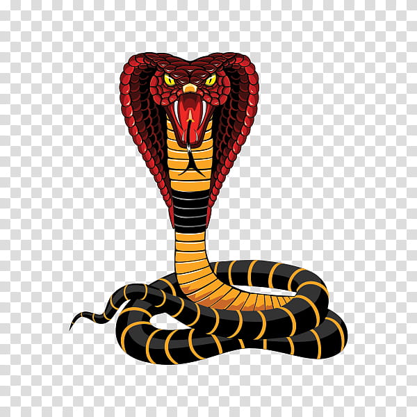 snake serpent king cobra reptile elapidae, Scaled Reptile, Indian Cobra, Colubridae, Animal Figure, Python, Rattlesnake, Mamba transparent background PNG clipart
