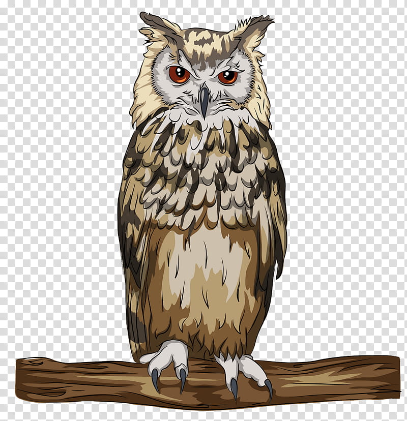 owl bird bird of prey eastern screech owl screech owl, Great Horned Owl, Wildlife, Branch, Western Screech Owl, Wood transparent background PNG clipart