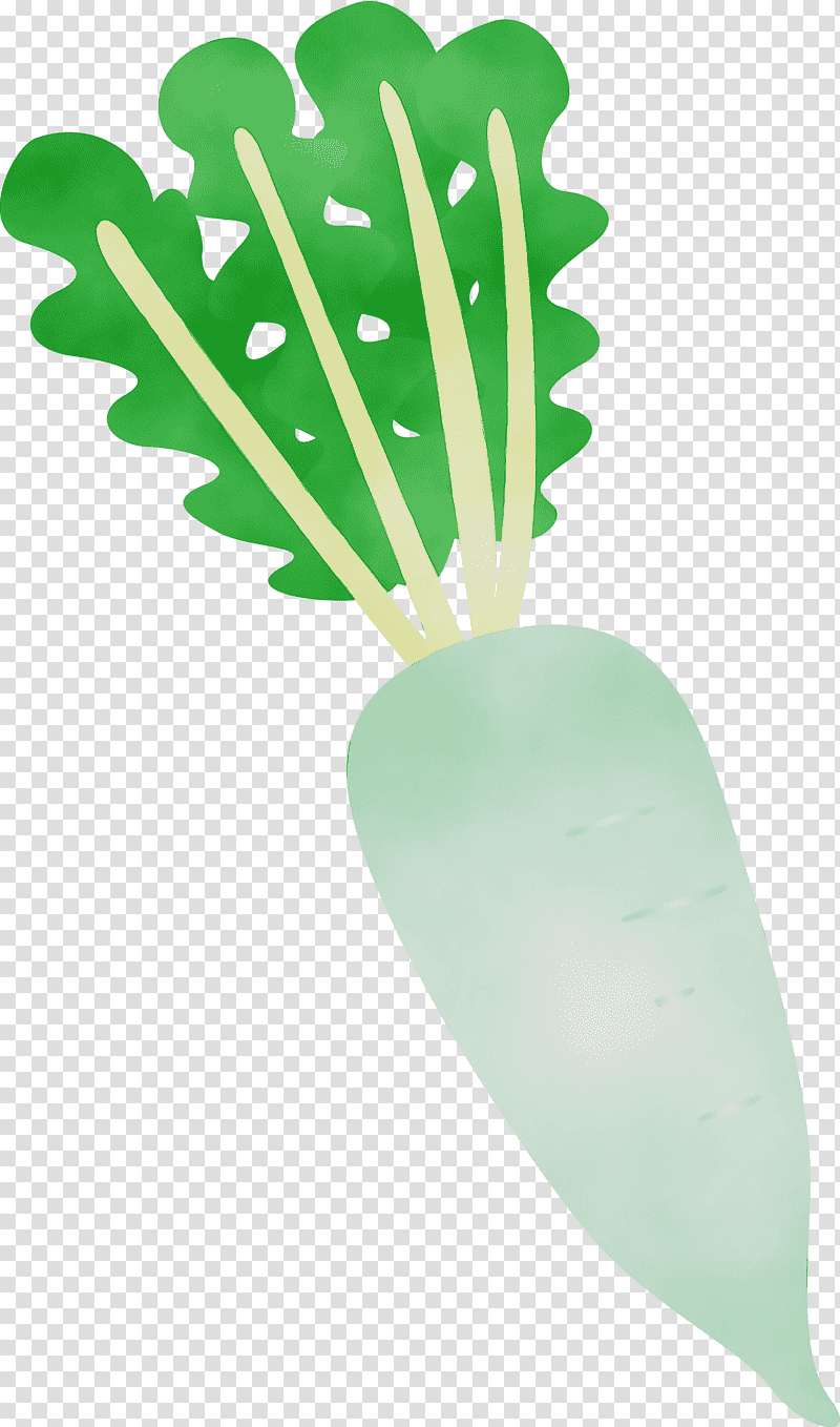 leaf plant structure science plants biology, Radish, Watercolor, Paint, Wet Ink transparent background PNG clipart