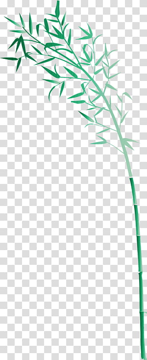 green plant stem plant leaf grass family, Bamboo, Watercolor, Paint, Wet Ink, Twig, Flower transparent background PNG clipart thumbnail