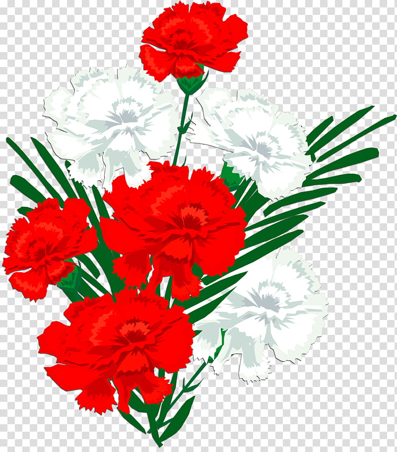 flower cut flowers red carnation plant, Bouquet, Petal, Dianthus, Pink Family transparent background PNG clipart