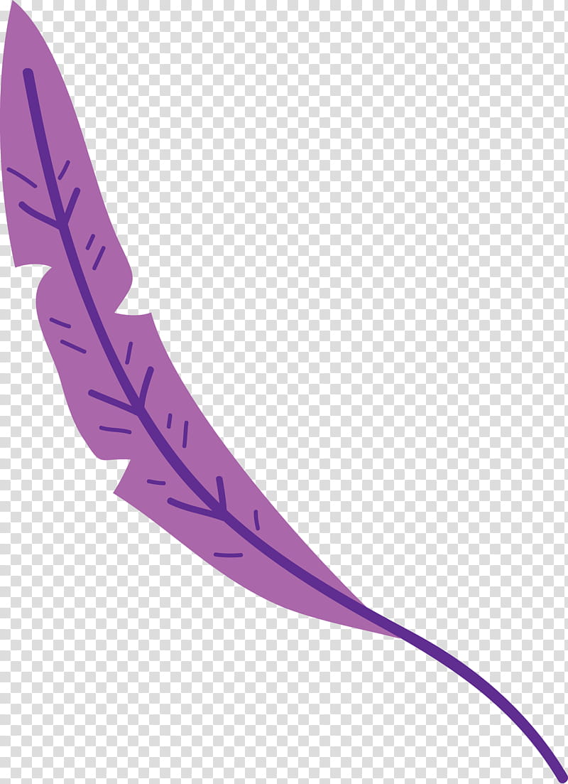 Feather, Leaf Cartoon, Leaf , Leaf Abstract, Angle, Line, Purple, Meter transparent background PNG clipart