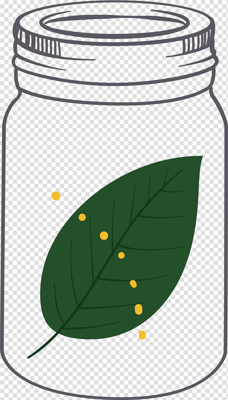 MASON JAR, Leaf, Green, Plant Structure, Biology, Plants, Science transparent background PNG clipart