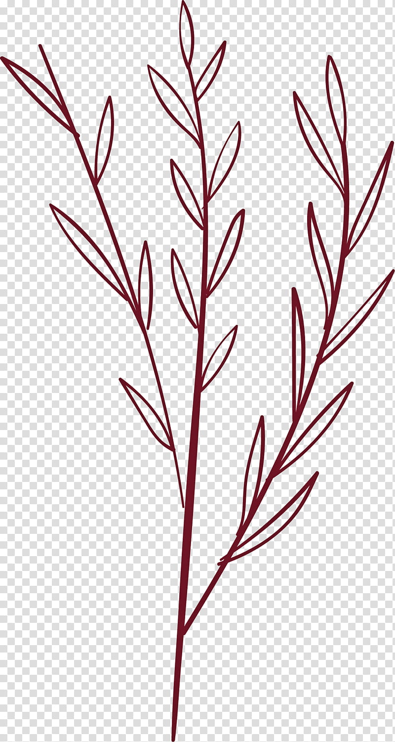 simple leaf simple leaf drawing simple leaf outline, Twig, Plant Stem, Grasses, Bud, Branch, Petal, Herbaceous Plant transparent background PNG clipart