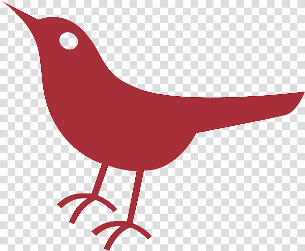 landfowl birds beak red, Line, Twitter, Mathematics, Biology, Science transparent background PNG clipart