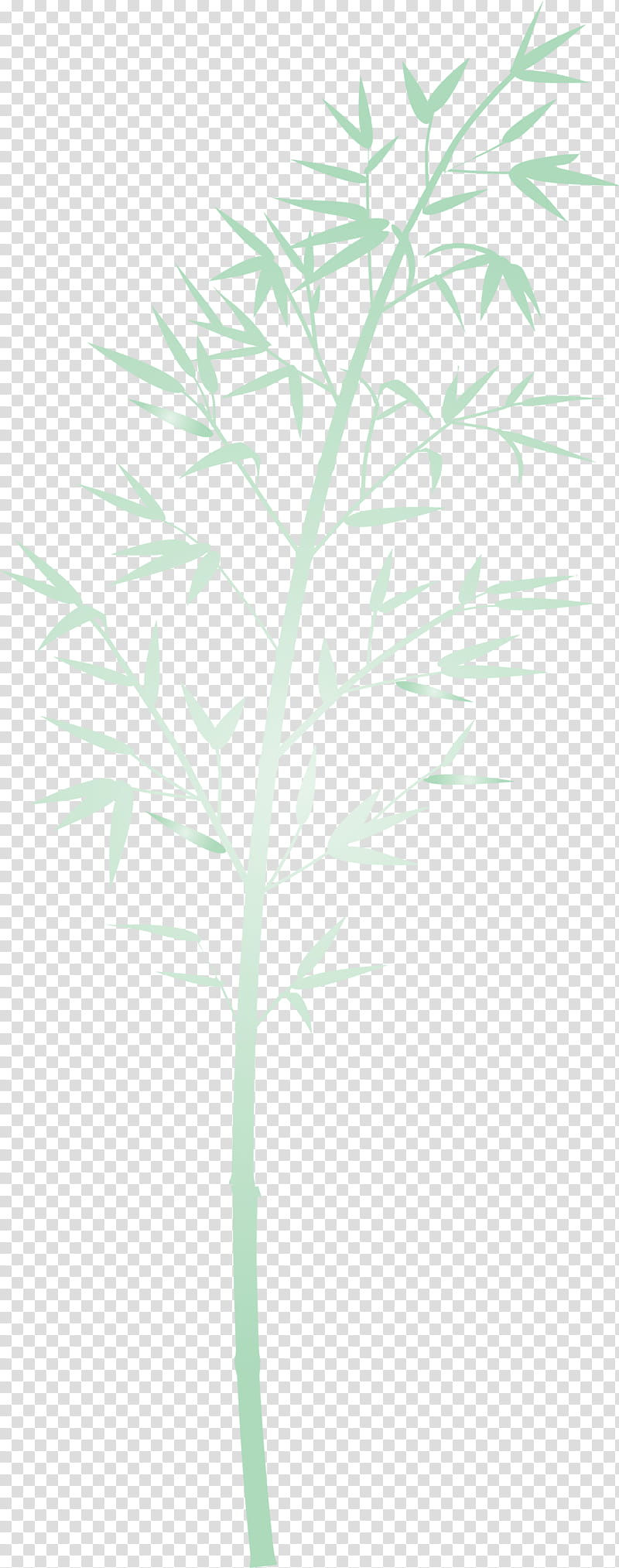 bamboo leaf, Plant, Flower, Tree, Plant Stem, Grass, Branch, Twig transparent background PNG clipart