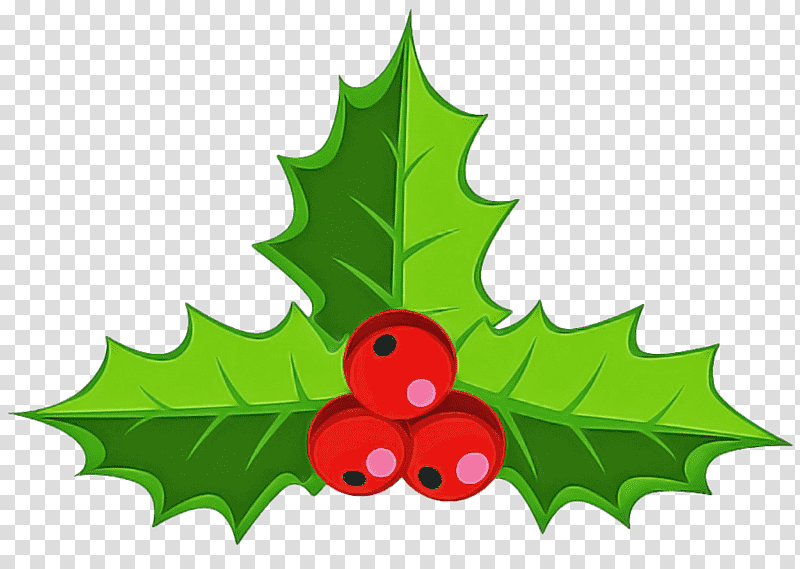 Mistletoe, Leaf, American Holly, Hollyleaf Cherry, Common Holly, Tree, Twig transparent background PNG clipart