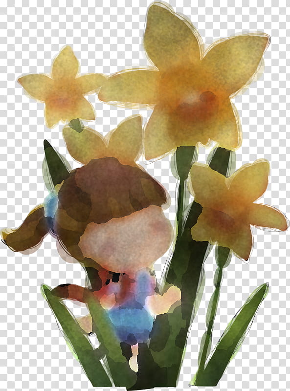 flower plant terrestrial plant petal orchid, Moth Orchid, Plant Stem, Dendrobium, Cattleya, Laelia, Orchids Of The Philippines, Iris transparent background PNG clipart