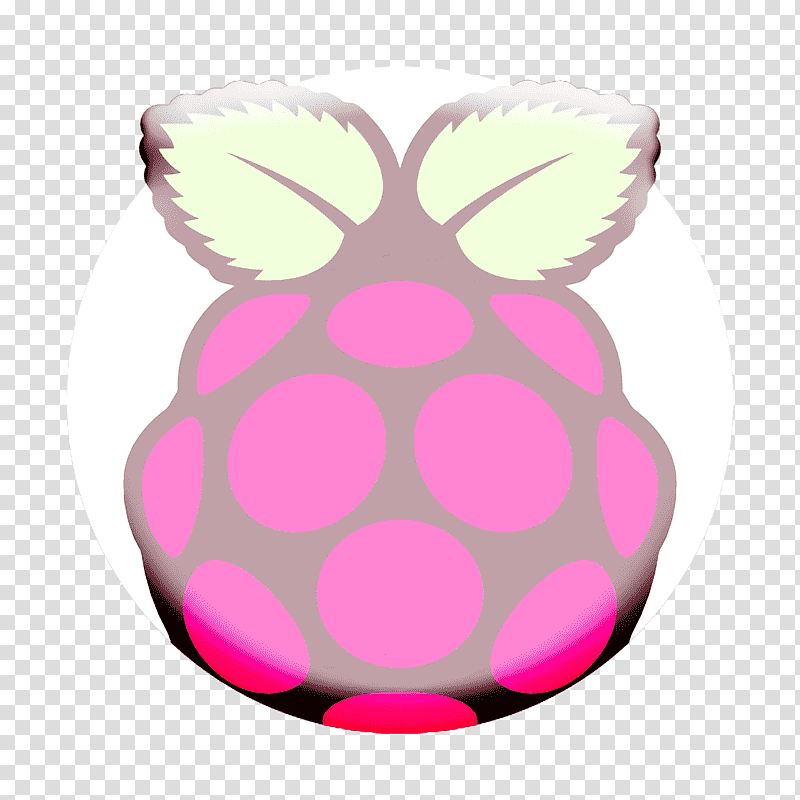 icon Software development logos icon Raspberry pi icon, Computer, Raspberry Pi Foundation, Raspberry Pi 3 Model B, Computer Case, Singleboard Computer, Embedded System transparent background PNG clipart