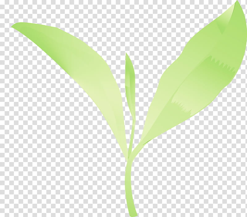 leaf flower lily of the valley plant plant stem, Tea Leaves, Spring
, Watercolor, Paint, Wet Ink, Eucalyptus transparent background PNG clipart