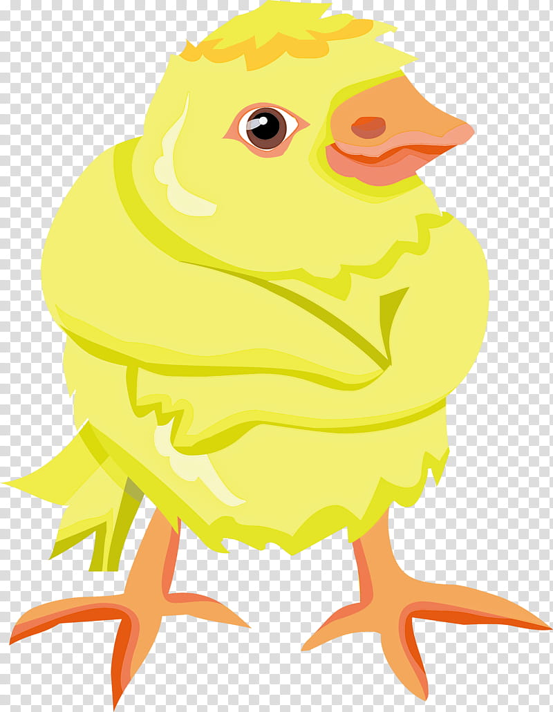 baby chicken, Yellow, Bird, Beak, Parrot transparent background PNG clipart