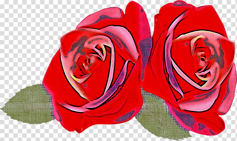 two flowers two roses valentines day, Garden Roses, Red, Hybrid Tea Rose, Petal, Pink, Rose Family, Plant transparent background PNG clipart
