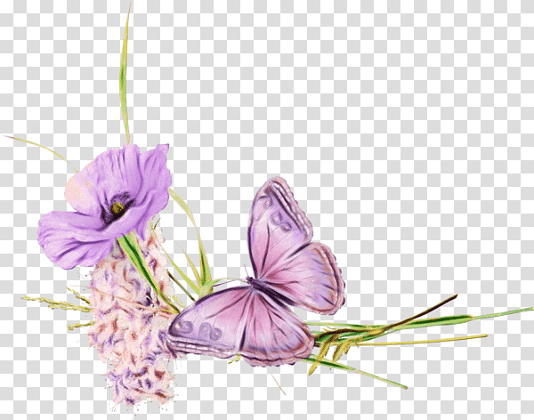 Lavender, Watercolor, Paint, Wet Ink, Flower, Butterflies, Petal transparent background PNG clipart