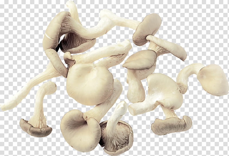 Mushroom, Common Mushroom, Edible Mushroom, Fungus, Shiitake, Food, Stuffed Mushrooms, Gilled Mushrooms transparent background PNG clipart