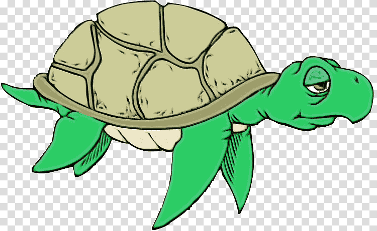 reptiles sea turtles tortoise turtles tortoise m, Watercolor, Paint, Wet Ink, Cartoon, Terrestrial Plant transparent background PNG clipart