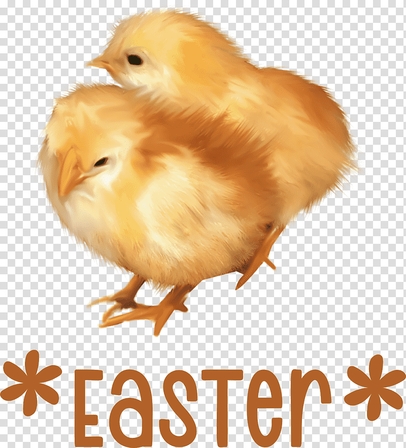 Easter Chicken Ducklings Easter Day Happy Easter, Roger Rabbit, Bugs Bunny, Drawing, Hare, Easter Egg transparent background PNG clipart