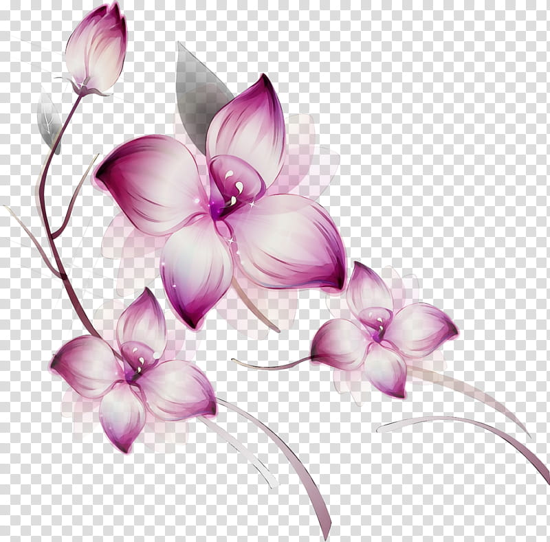 violet lilac purple petal flower, Watercolor, Paint, Wet Ink, Plant, Pink, Magenta, Cooktown Orchid transparent background PNG clipart