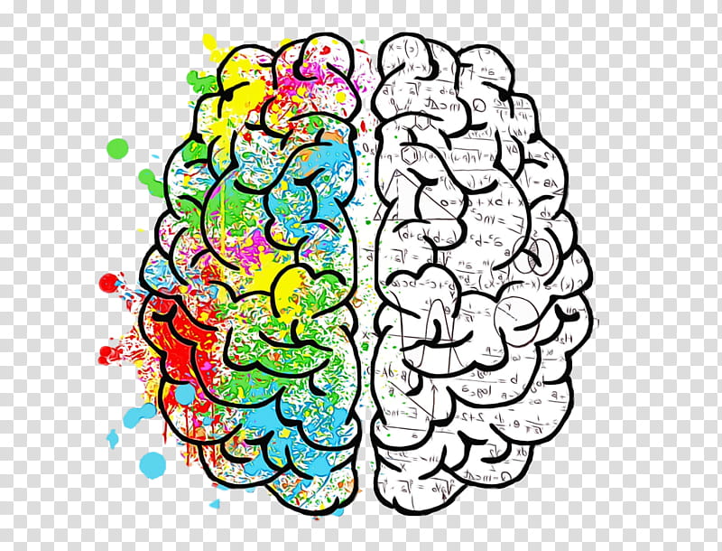 lateralization of brain function cerebral hemisphere brain human brain neuroscience, Watercolor, Paint, Wet Ink, Cerebral Cortex, Psychology, Functional Magnetic Resonance Imaging, Visual Perception transparent background PNG clipart