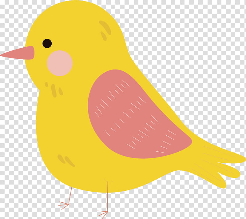 beak ducks birds water bird yellow, Cartoon Bird, Cute Bird, Swans, Grey Geese, Biology, Science transparent background PNG clipart